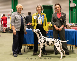 Best in Show, Dvojica Firefly for Finnidal, Hurst Mrs A & Mr K